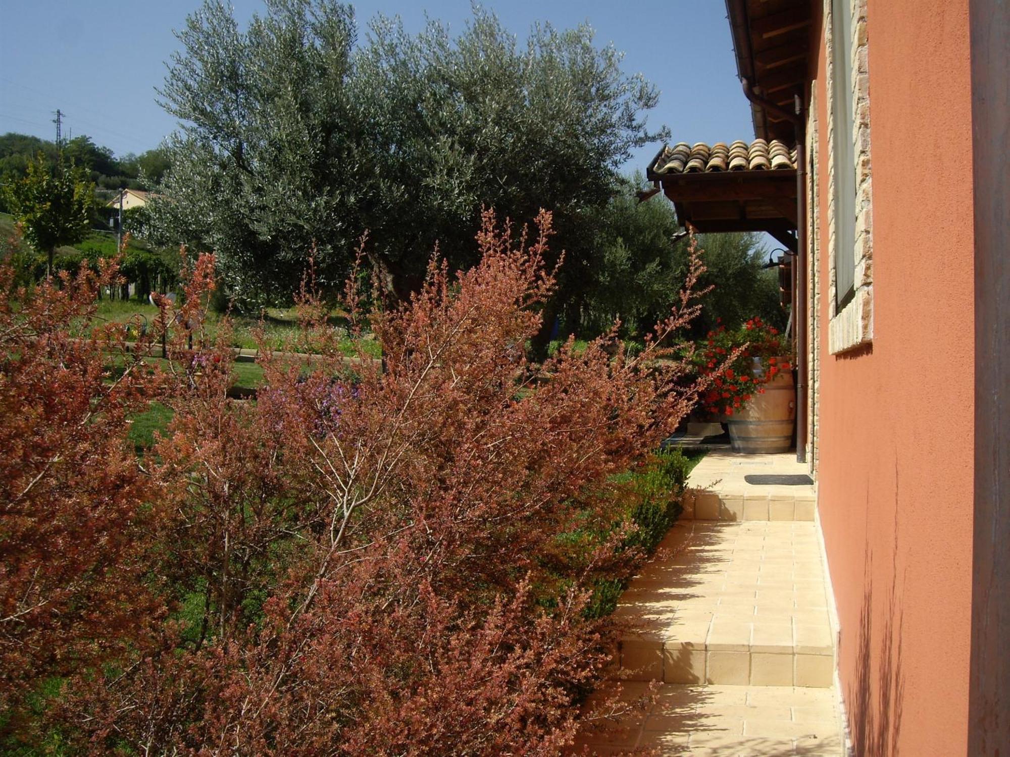 Agriturismo Il Borgo Degli Ulivi Розето дели Абруци Екстериор снимка